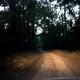 Illustration for article titled A little night driving